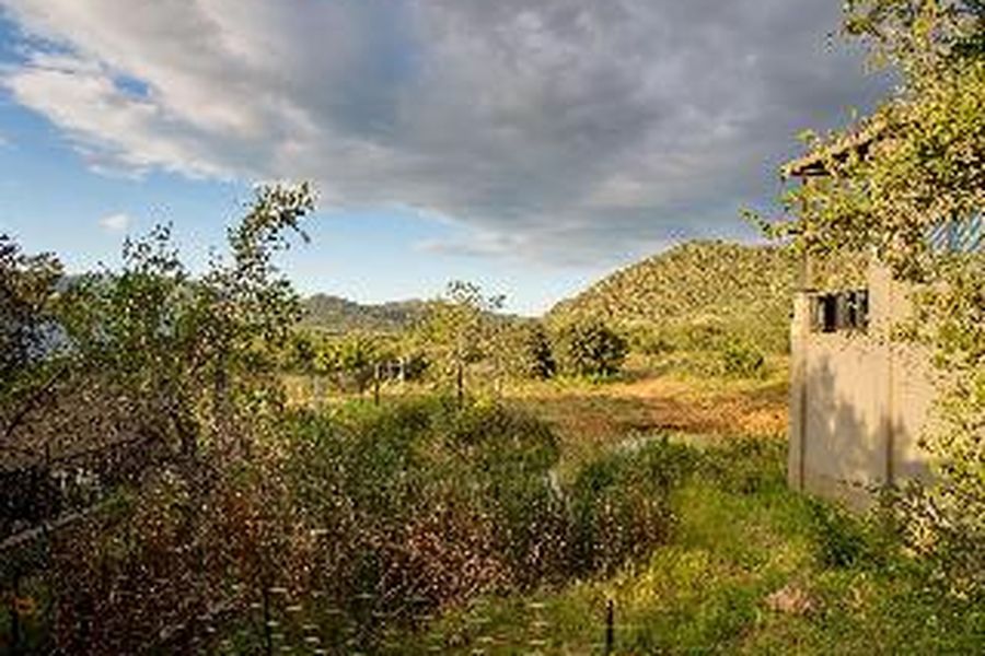 foto-2