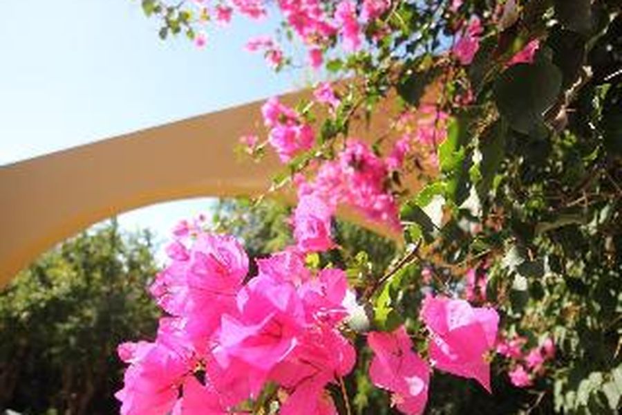 photo-3