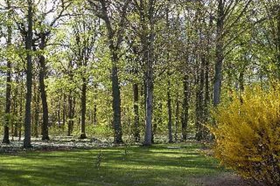 photo-3