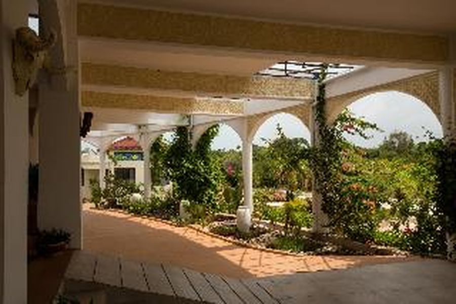 photo-1