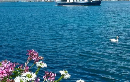 Passeio de barco em Genebra