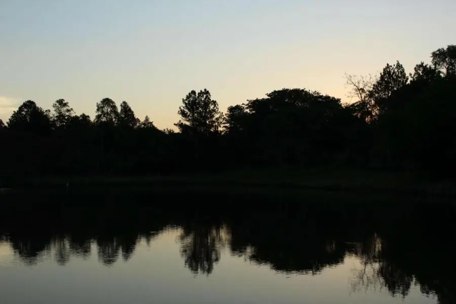 foto-0