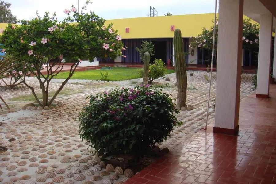 foto-1