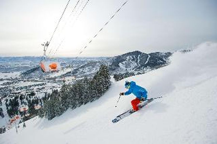 photo-1