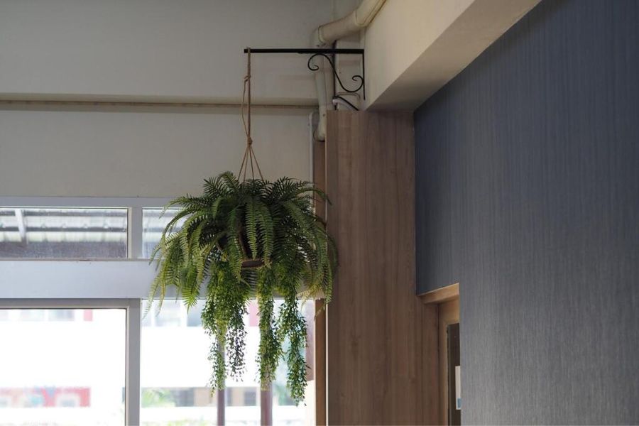 photo-1