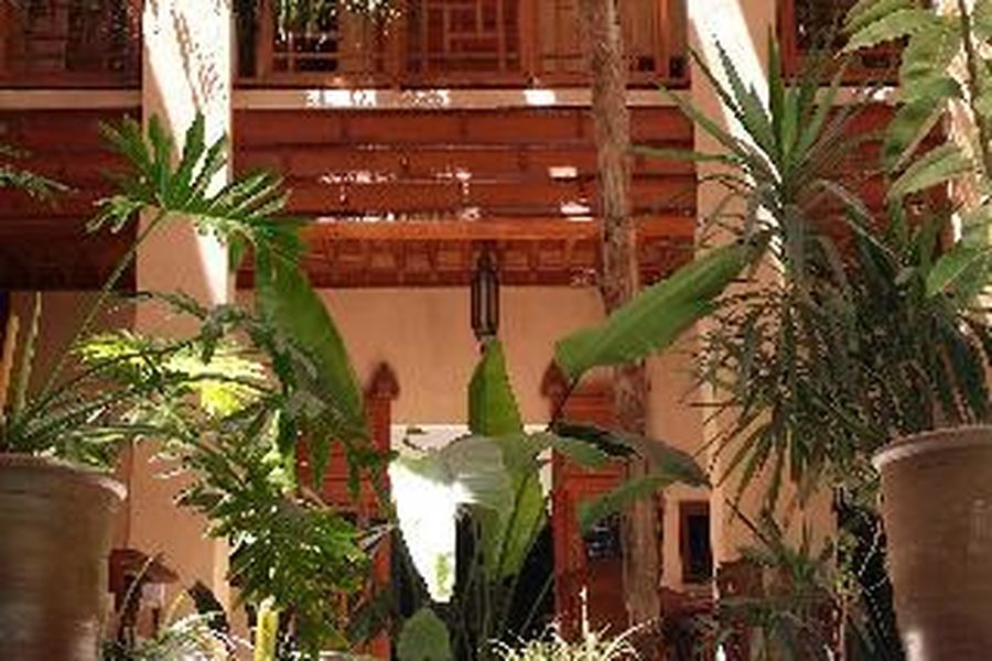 foto-2