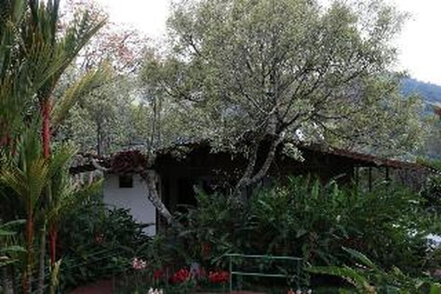 photo-1