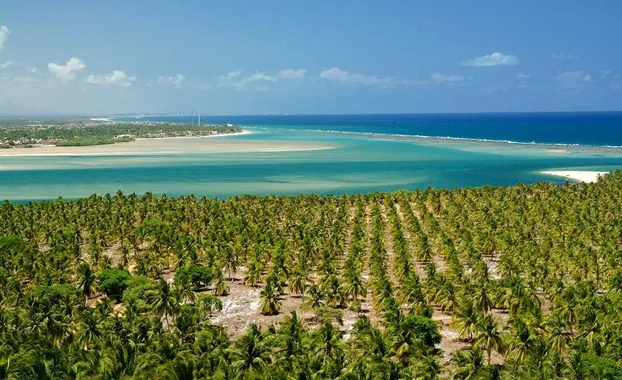 Praia do Gunga