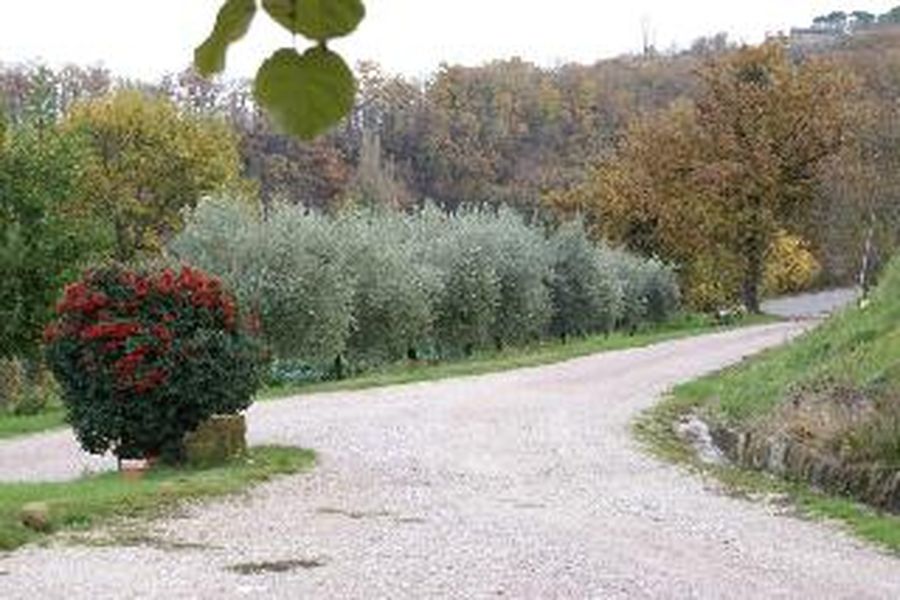 foto-2