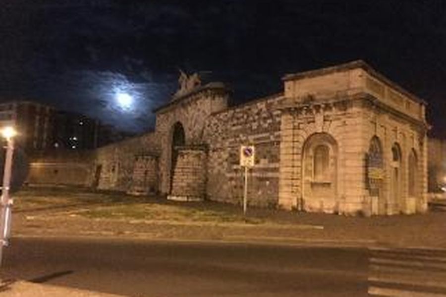 photo-1