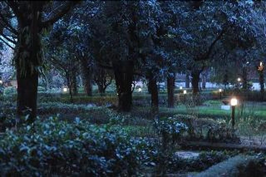 photo-1