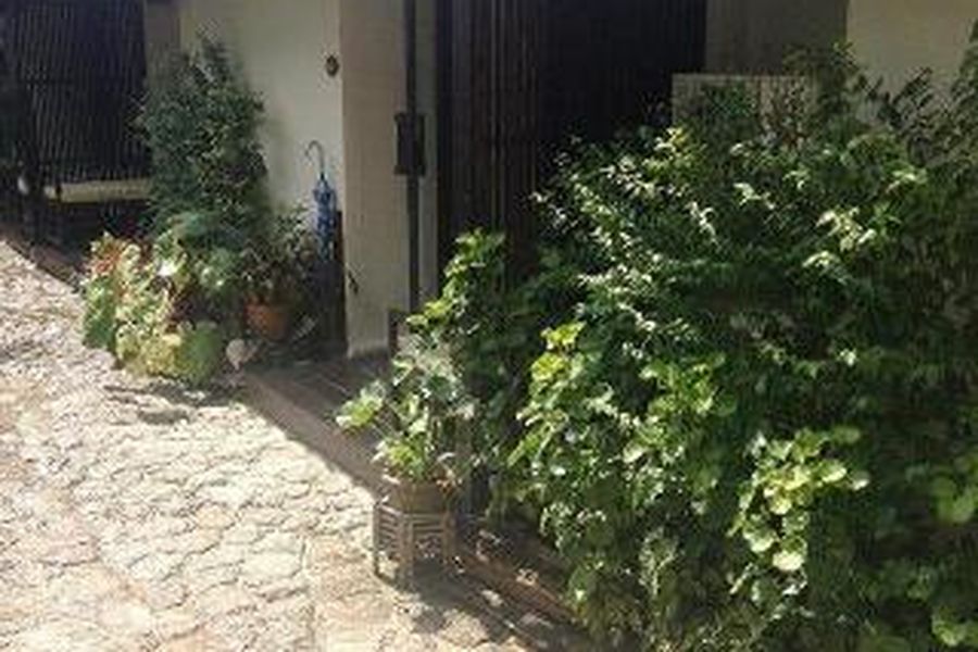 photo-2