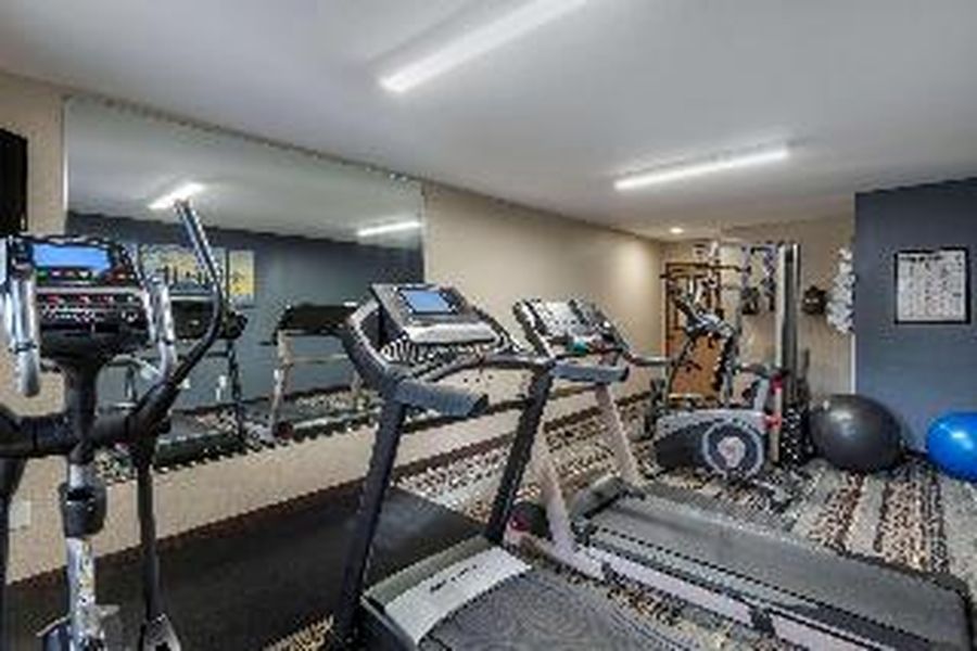 photo-1