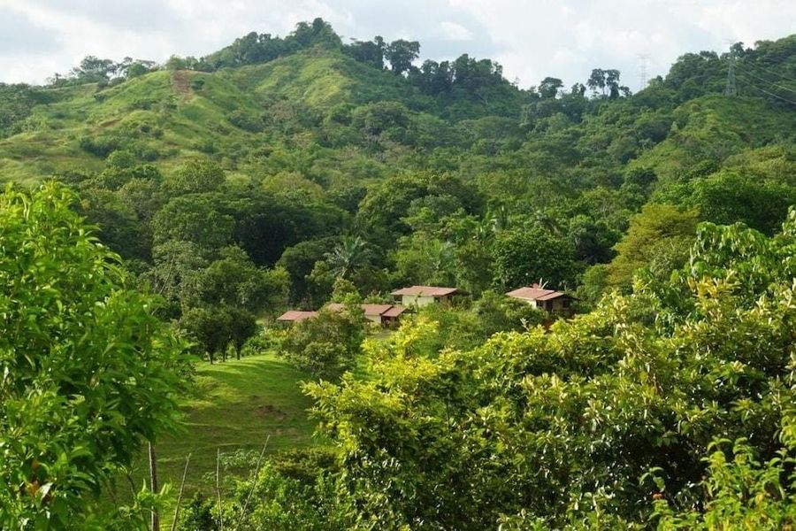 foto-3