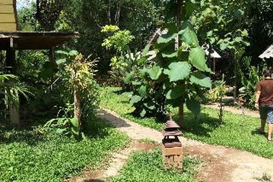 photo-3