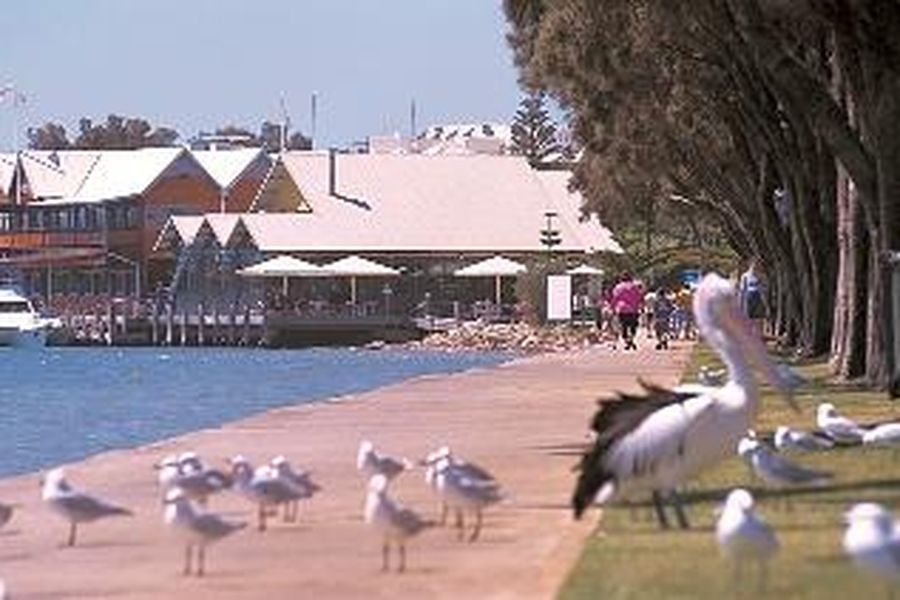 photo-1