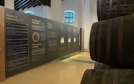 Tour vinícola de Jerez com degustação de vinhos