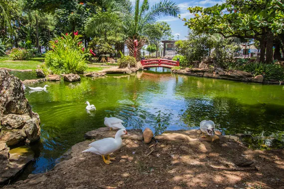 Lago em Caldas Novas