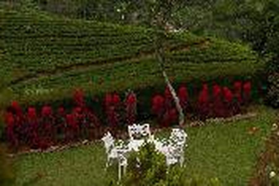 foto-2