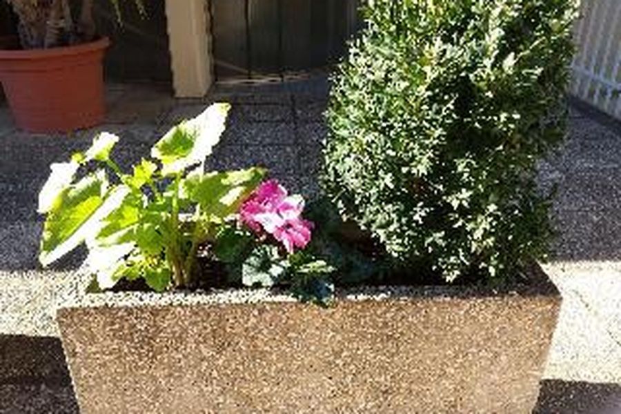 photo-2