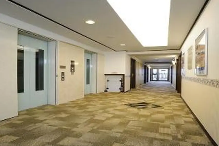 photo-1