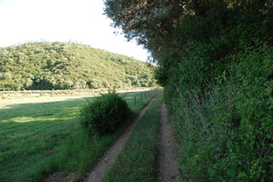 foto-3