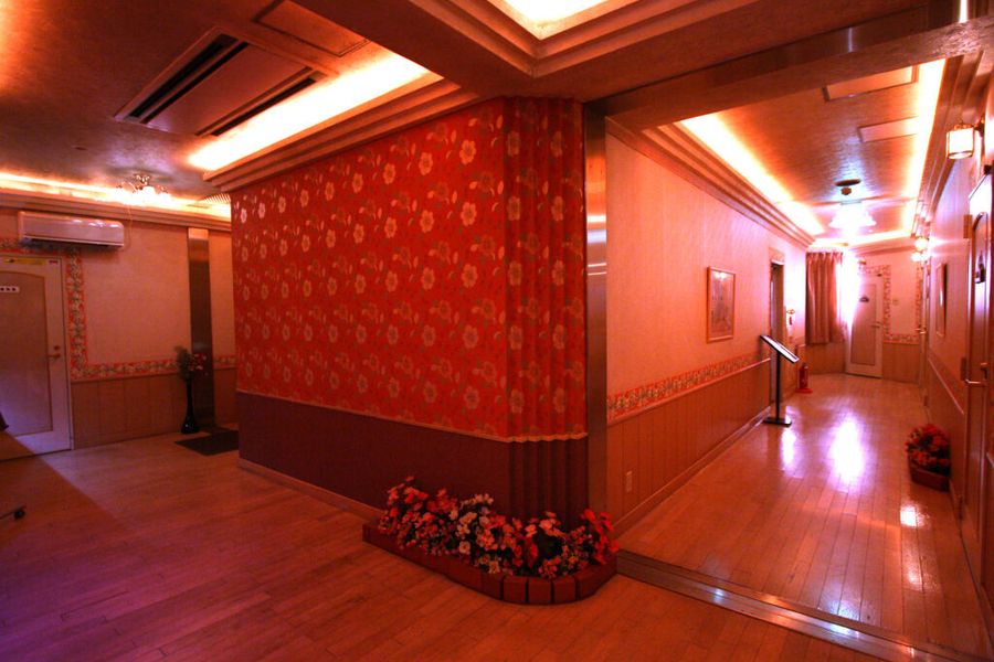 photo-1