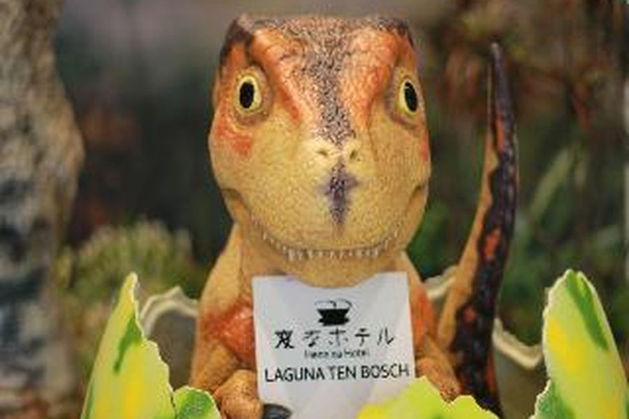 foto-3
