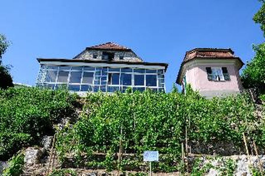 foto-1