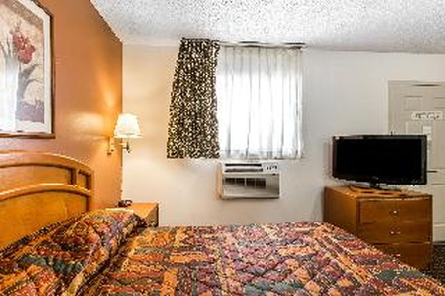 foto-1