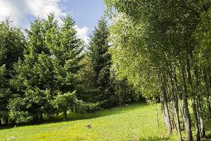 foto-1