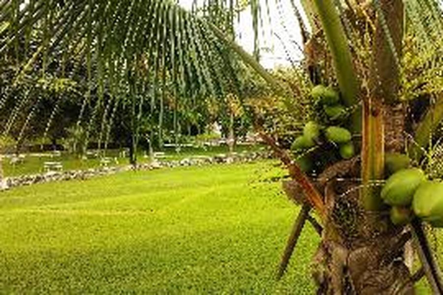 photo-1
