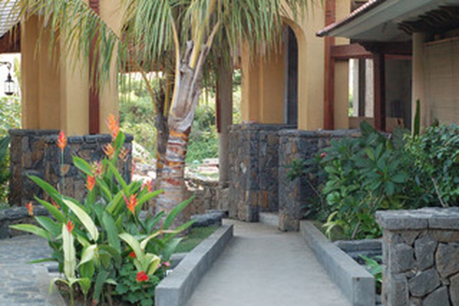 photo-1