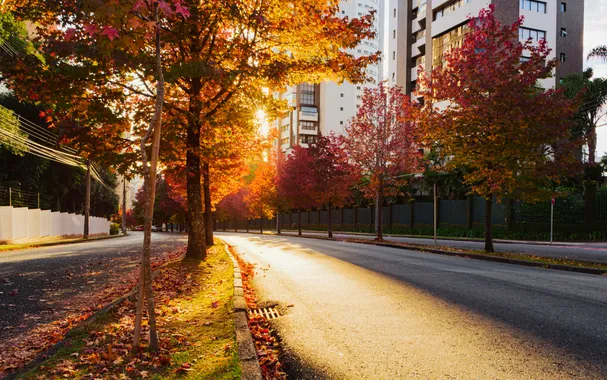 Curitiba