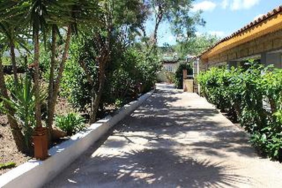 foto-1
