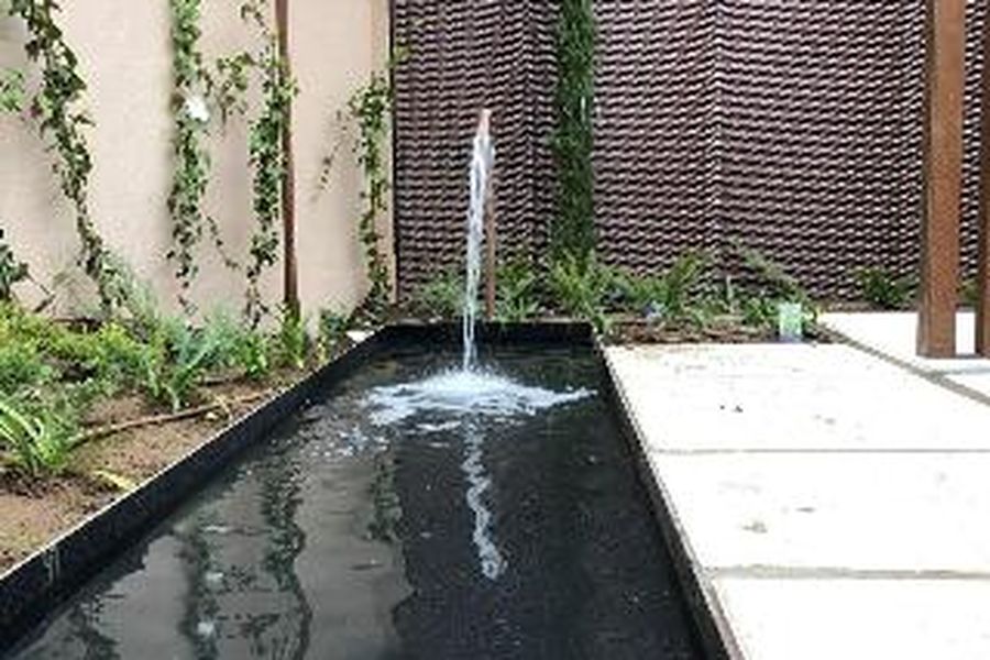 foto-1