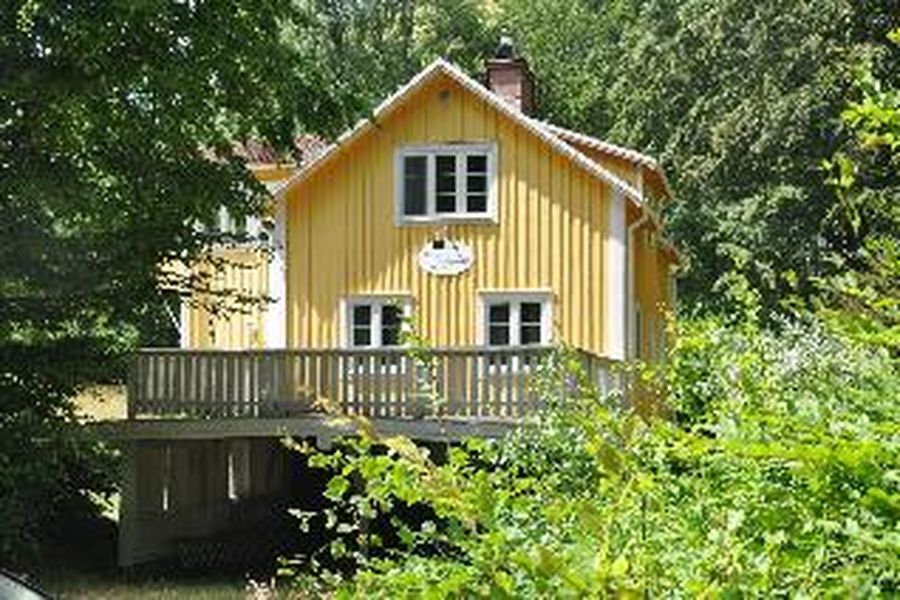 photo-3