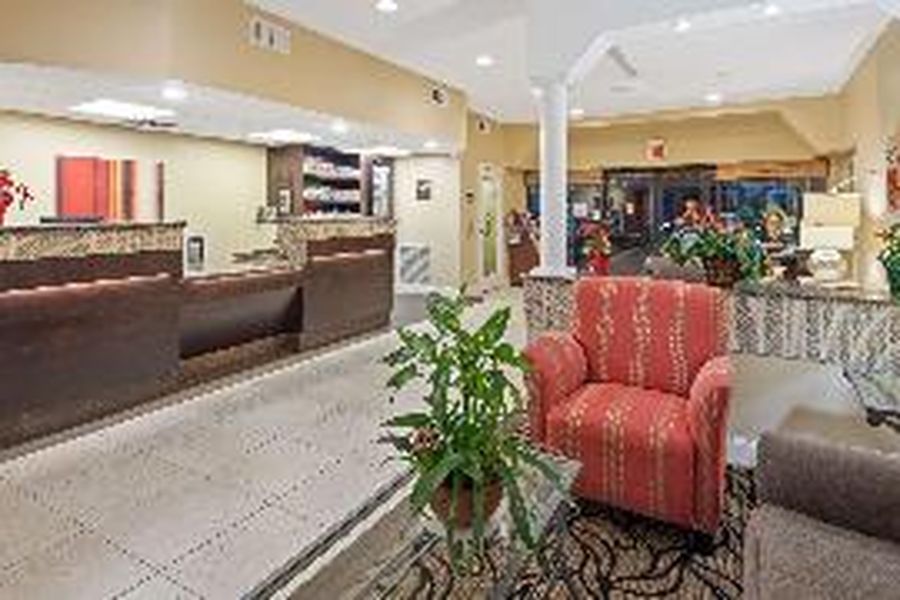 photo-3