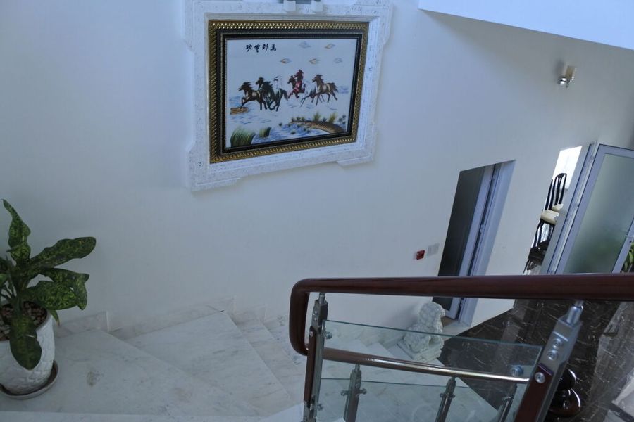photo-1