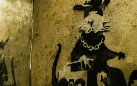 Museu Banksy Cracóvia
