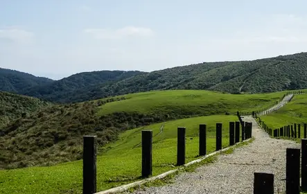Parque Nacional Beitou e Yangmingshan: excursão guiada de um dia saindo de Taipei
