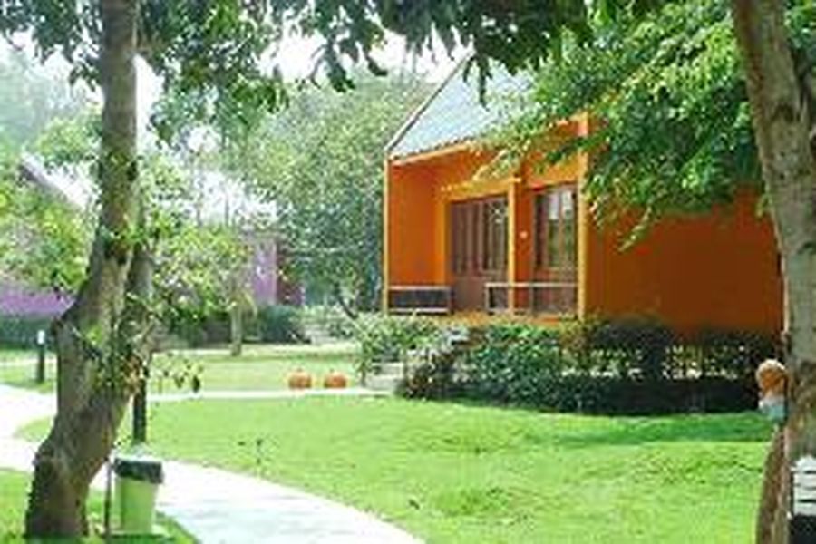 foto-1