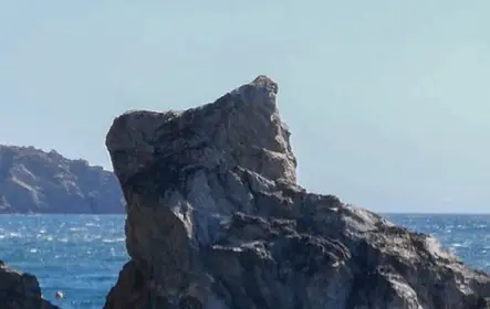 Cap Norfeu: paseo en barco con fondo de cristal de 2 horas desde Roses o Santa Margarita