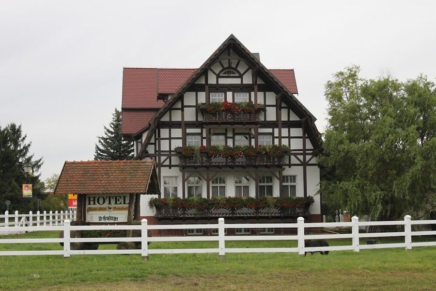 photo-3