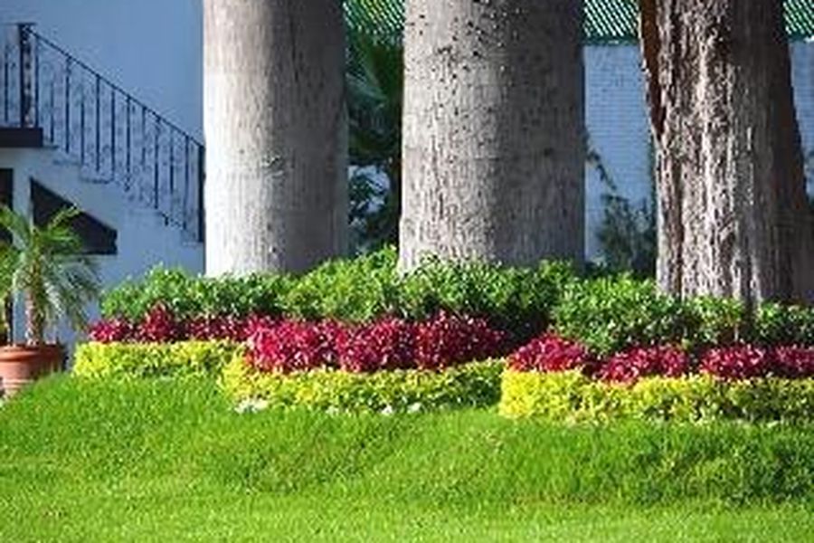 foto-2