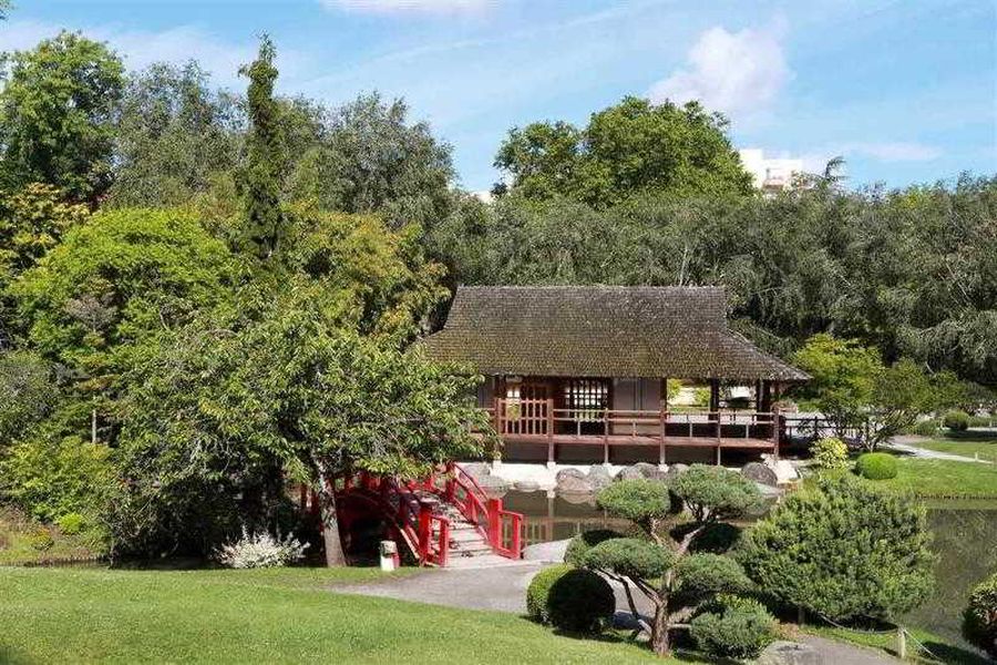 foto-2