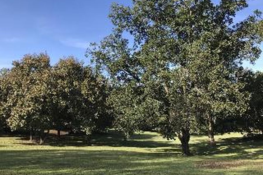 photo-3