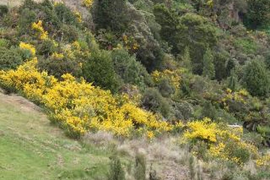 photo-2