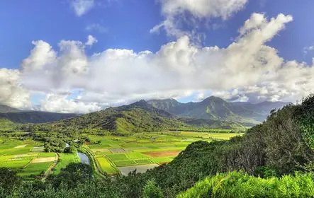 Tour de cinema no Havaí em Kauai
