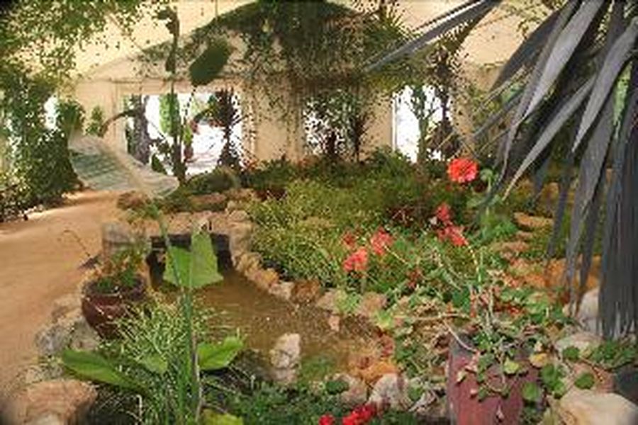 foto-1